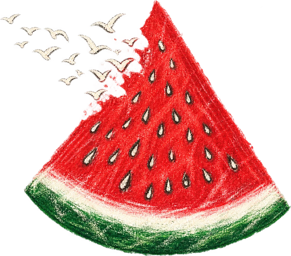 A chalk watermelon slice with birds lifting from its edge